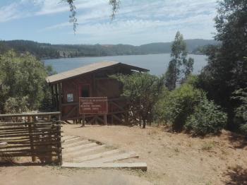 Camping Reserva Nacional Laguna Torca en Vichuquen, Maule