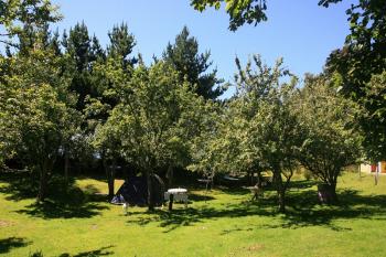 Hospedaje Río Quilen en Queilen, Los Lagos