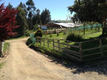 Camping Club de campo San Juan en San Antonio, Valparaiso