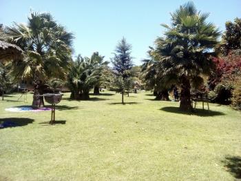 Camping El Edén de Cabildo en Cabildo, Valparaiso