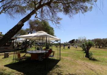 Camping El Oasis Los Choros en La Higuera, Coquimbo