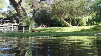 Camping Isla San Rafael en Monte Patria, Coquimbo
