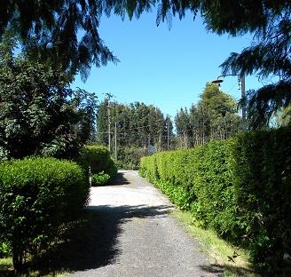 Cabañasy Camping Los Pinos en Villarrica, Araucania