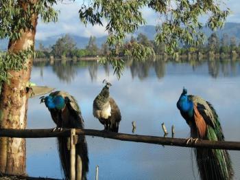 Camping Laguna Esmeralda en Melipilla, Metropolitana