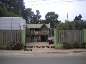 Camping Pequeño Bosque en Pichilemu, Ohiggins