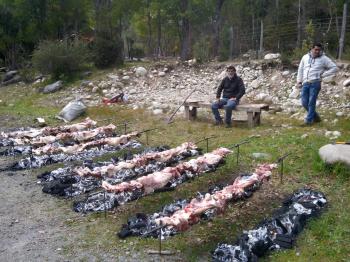 Camping El Millico en Longavi, Maule