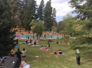 Camping Bosque Hermoso en Las Cabras, Ohiggins