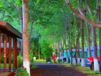 Camping Cordillera en Panguipulli, Los Rios