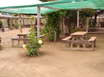 Camping Emanuel en Pichilemu, Ohiggins