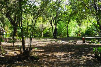 Camping El Bosque en Panguipulli, Los Rios