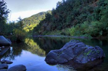 Camping El Paso Monte Oscuro en Curico, Maule