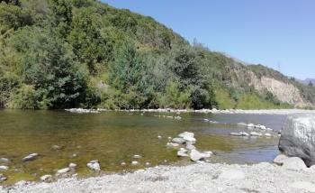 Camping Mi Capullito De Rosa en San Fernando, Ohiggins