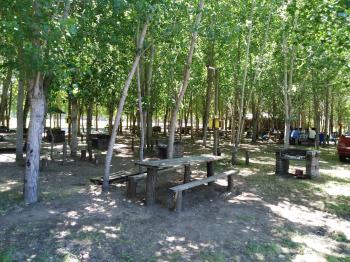 Camping Los Radales en Cabrero, Bio Bio