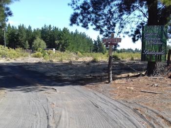 Campamento Bautista Batuquito en Cabrero, Bio Bio