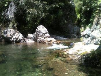 Camping Las Luciernagas en Longavi, Maule