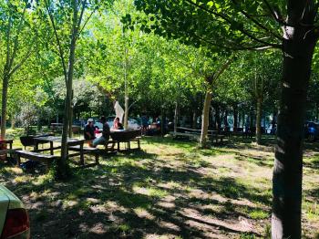 Camping Los Arrayanes en Los Angeles, Bio Bio