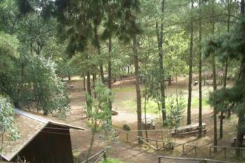 Camping Las Puertas Del Paraiso en Rio Claro, Maule