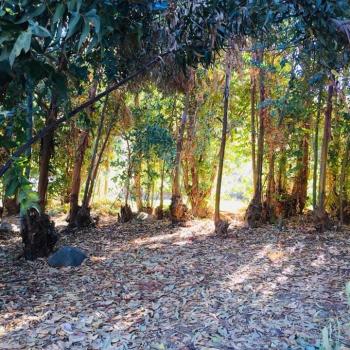 Mystic Eco-Camping Serón Río Hurtado en Rio Hurtado, Coquimbo