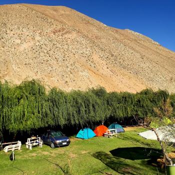 Camping Entre Viña en Paihuano, Coquimbo