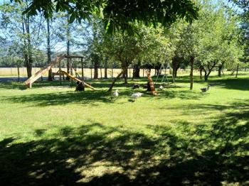 Agrocamping Quilmio en Panguipulli, Los Rios