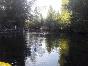 Camping y Cerveceria Walwalun en Puerto Montt, Los Lagos