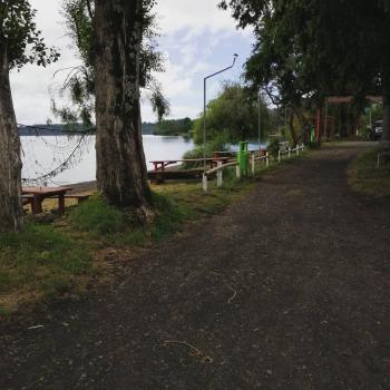 Camping La Carpa en Rio Bueno, Los Rios