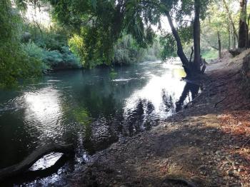 Camping Los Panchos en Angol, Araucania