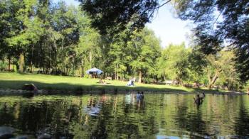 Camping Los Robles en El Carmen, Bio Bio
