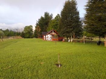 Camping Hans en Pucon, Araucania