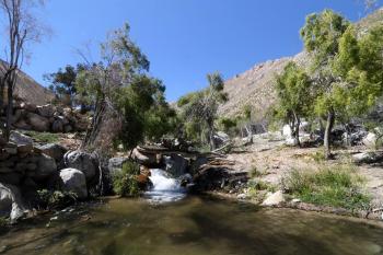 Camping y Cabaña Las Tolas en Paihuano, Coquimbo
