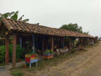 Camping Horizonte del Mar en Cobquecura, Bio Bio