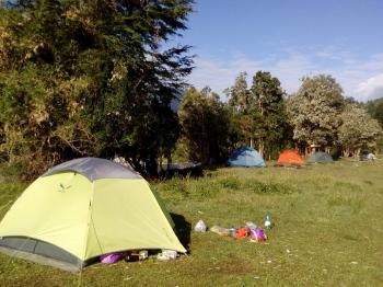 Camping La Vega Hornopiren en Hualaihue, Los Lagos
