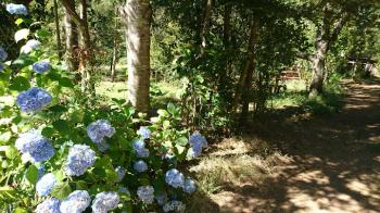 Agro Camping Don Antonio en Pucon, Araucania