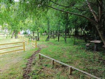 Camping El Estero Lican Ray en Villarrica, Araucania
