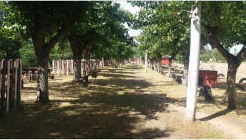Camping Señora Sonia en Yumbel, Bio Bio