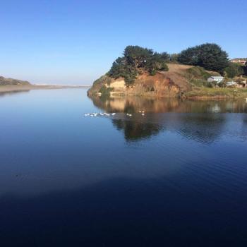 Camping Rayen Lafken en Saavedra, Araucania