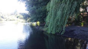 Camping Santa Irene en Yumbel, Bio Bio