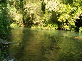 Camping La Cascada en Lonquimay, Araucania
