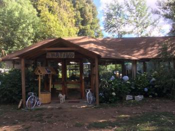 Parque Nativo Bajo Mininco en Quilaco, Bio Bio